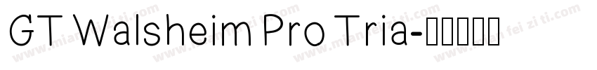 GT Walsheim Pro Tria字体转换